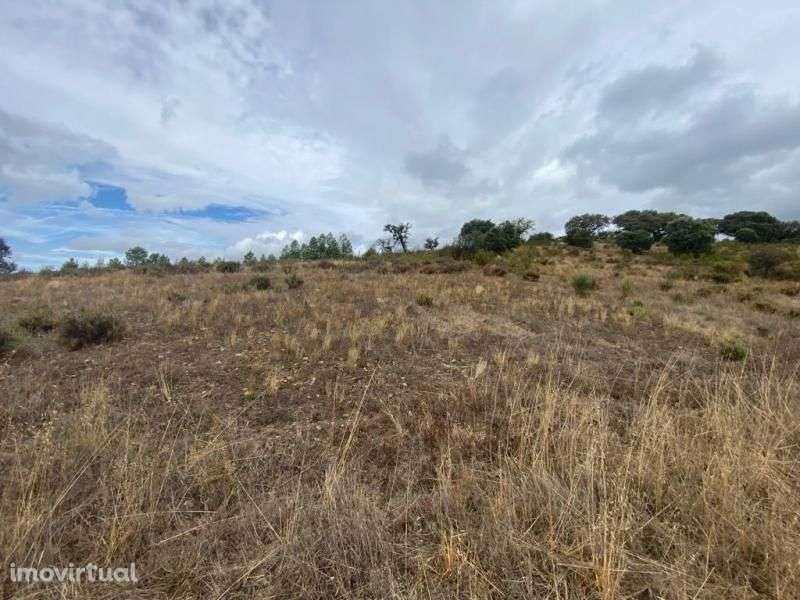 Quinta - Grande imagem: 4/16