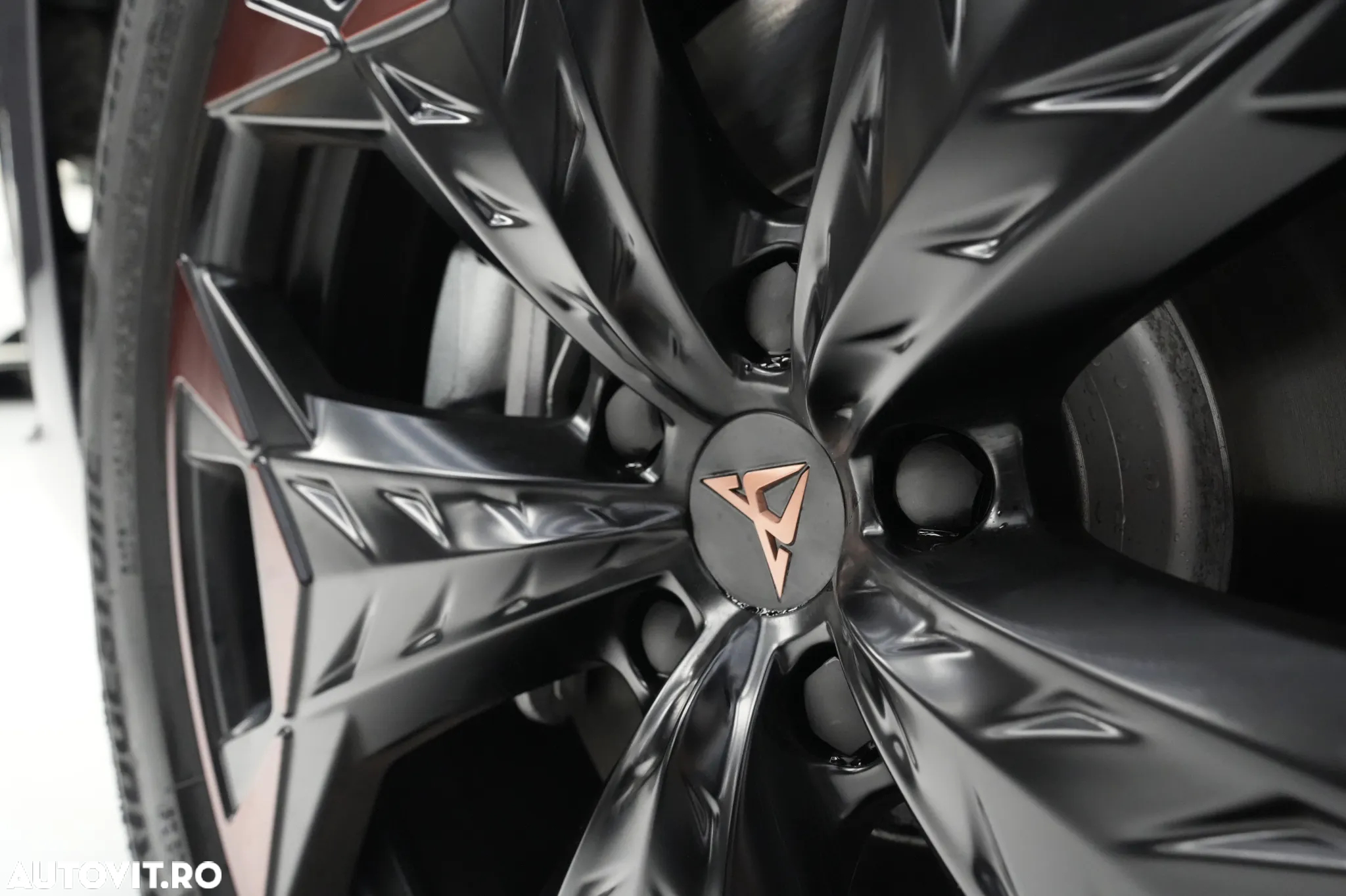 Cupra Terramar - 8