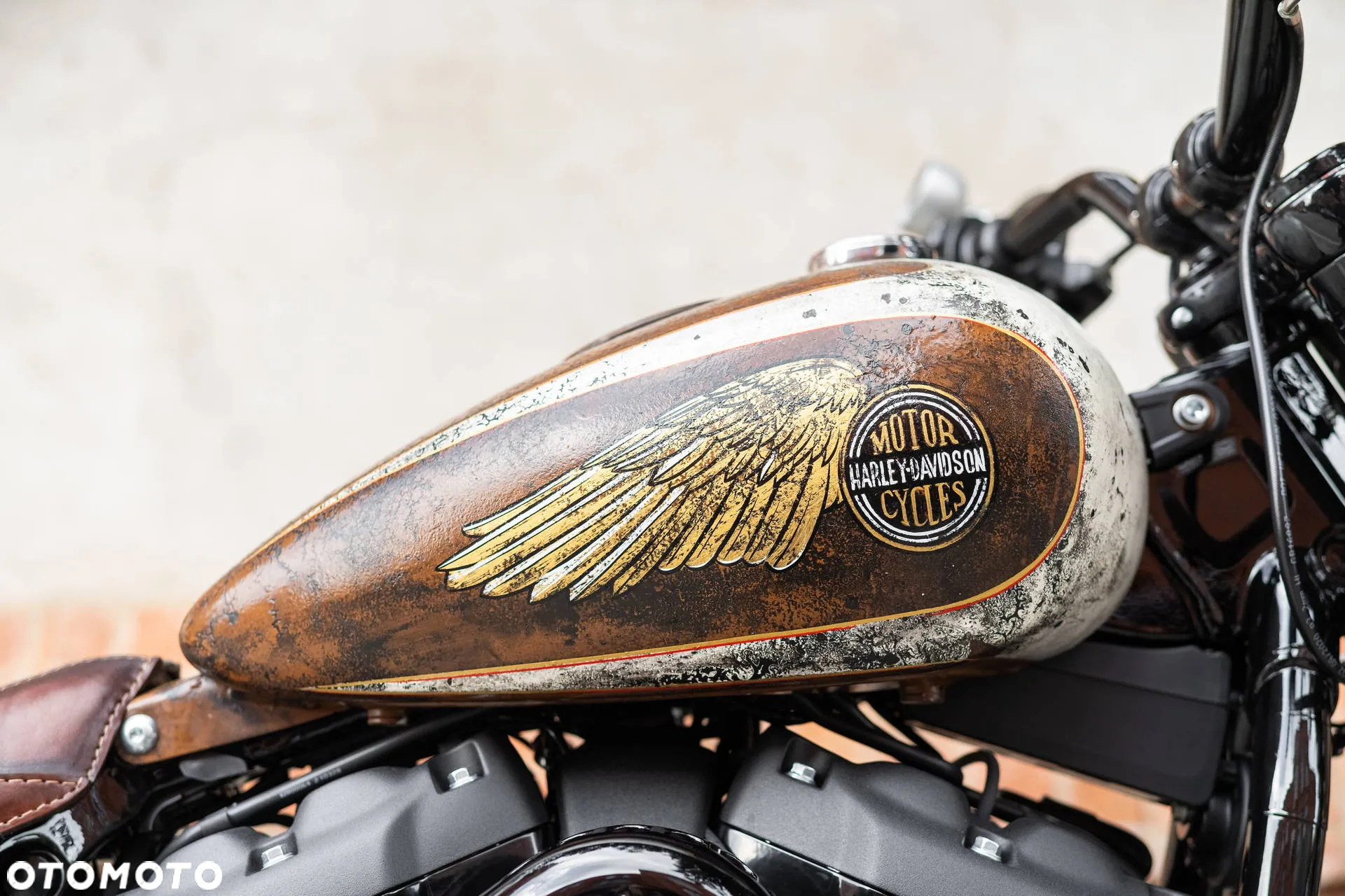 Harley-Davidson Softail - 22