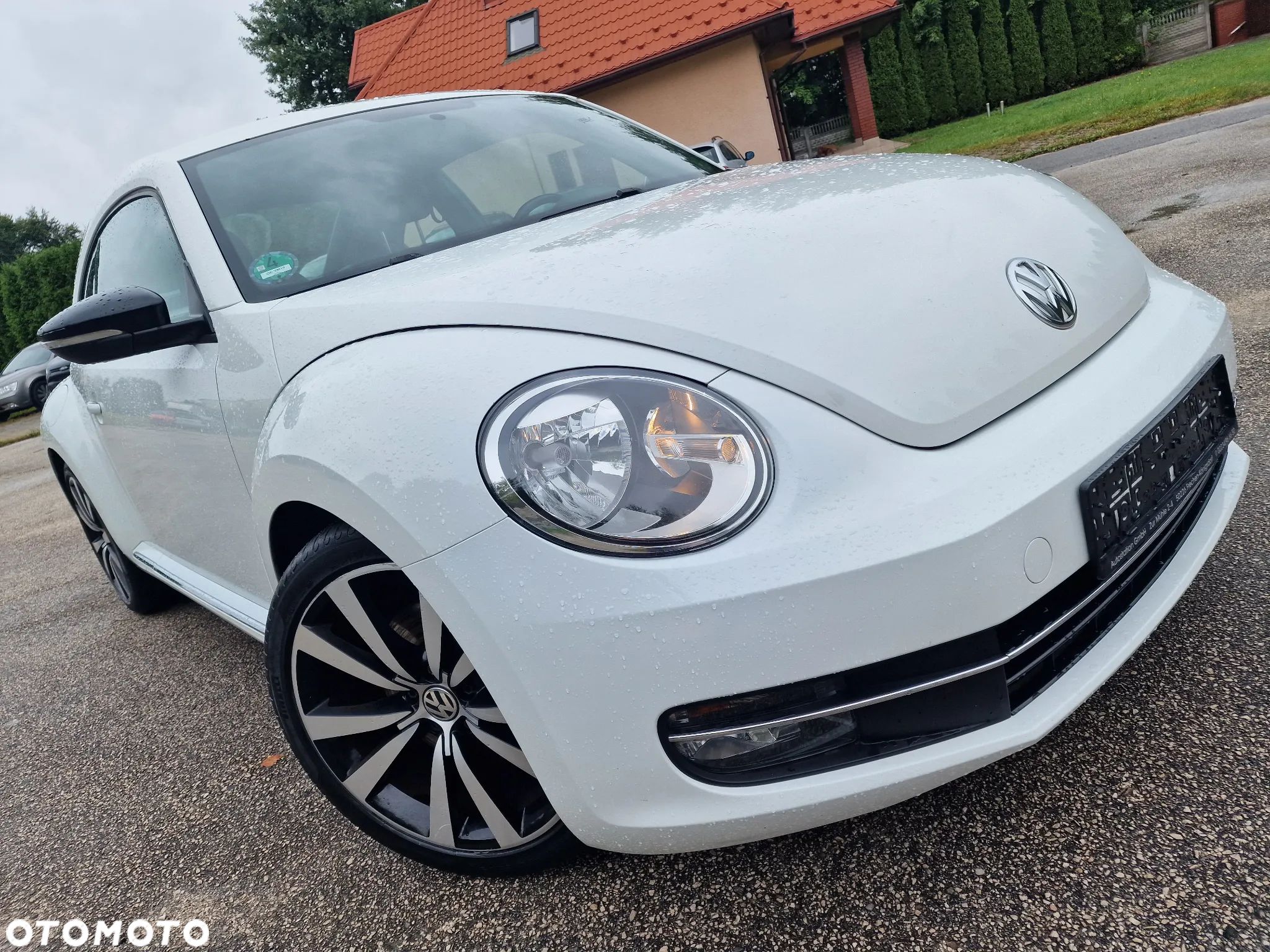 Volkswagen Beetle - 1