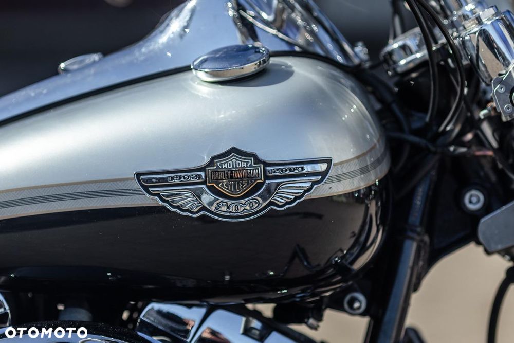 Harley-Davidson Softail - 17