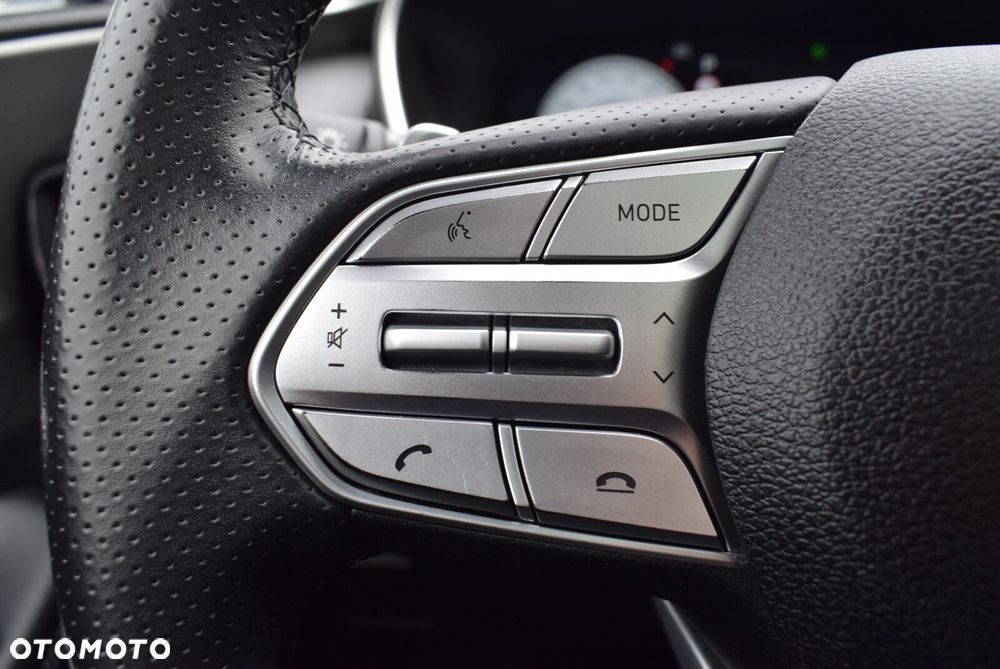 Hyundai Santa Fe - 20