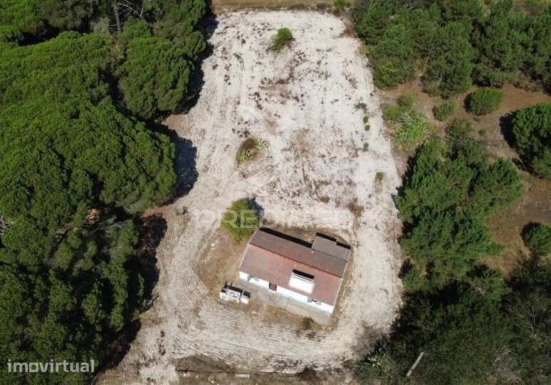 Monte na Lagoa de Santo André - Grande imagem: 4/15