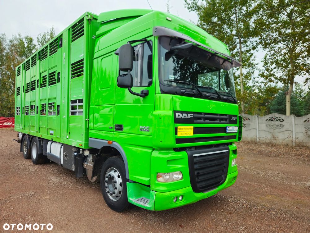 DAF xf 105 460 - 1