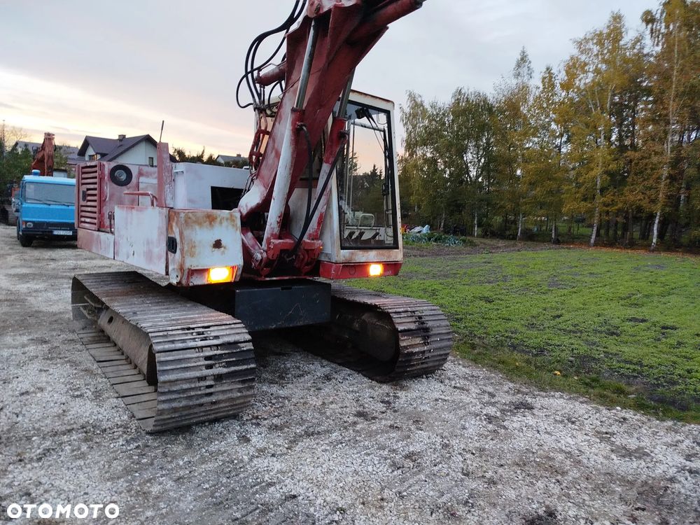 Case 61 błotniak - 24