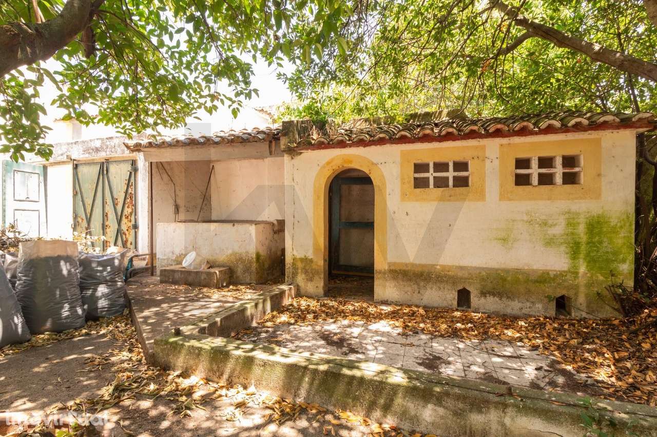Moradia senhorial com jardim, terraços e garagem no centro histórico d - Grande imagem: 2/40