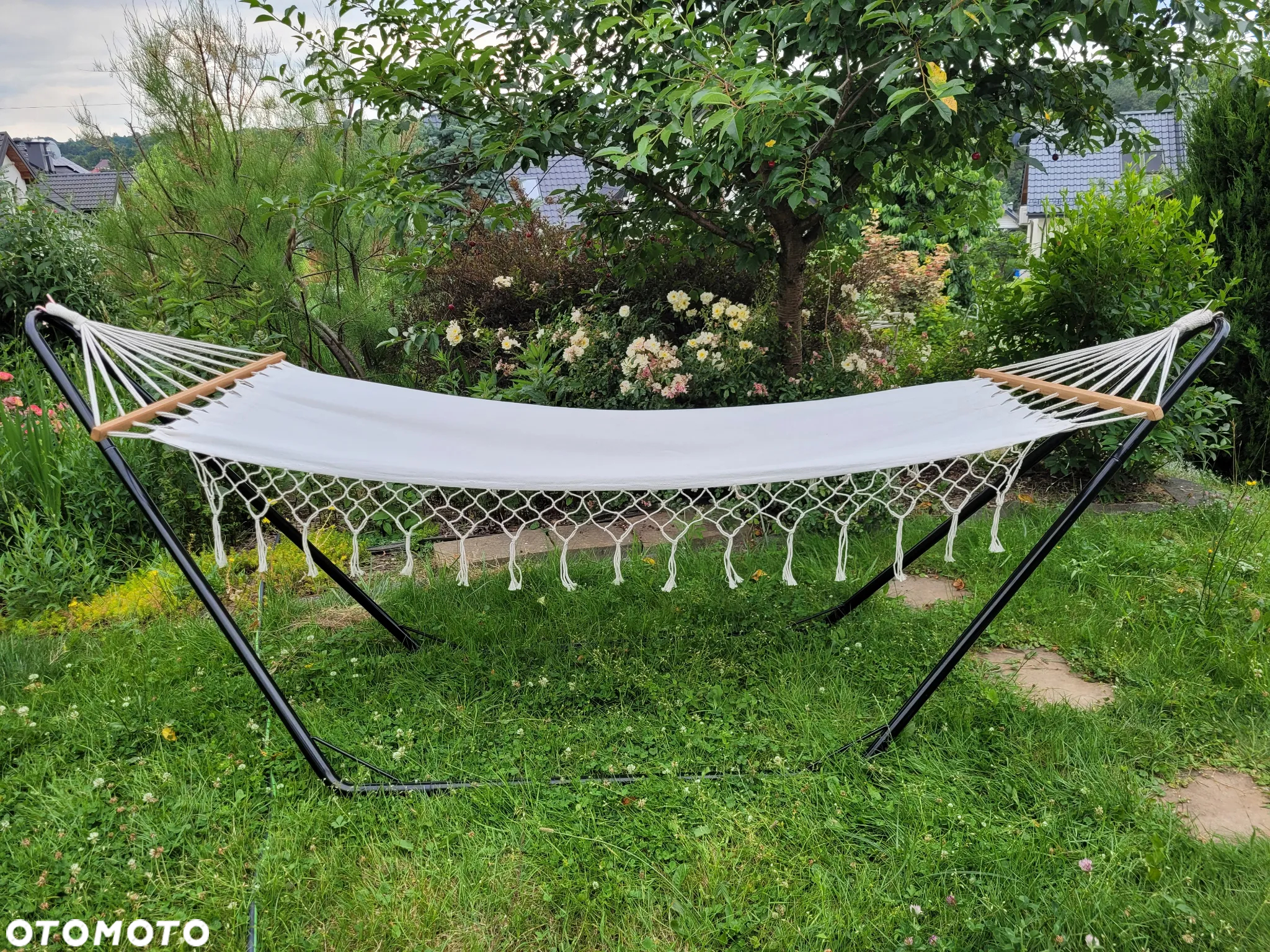 Spitzer Musketer - 31