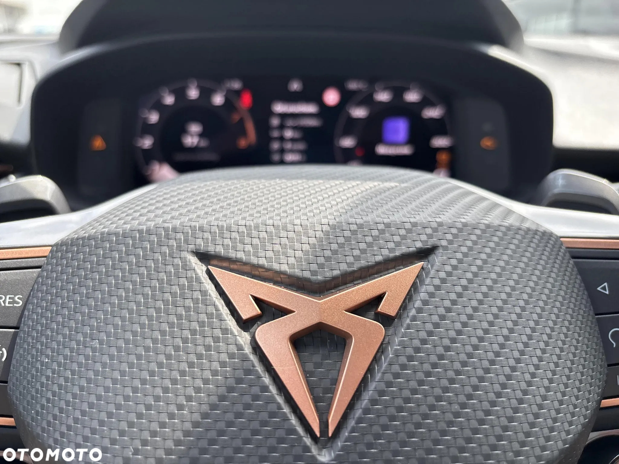 Cupra Terramar 2.0 TSI 4Drive DSG - 19