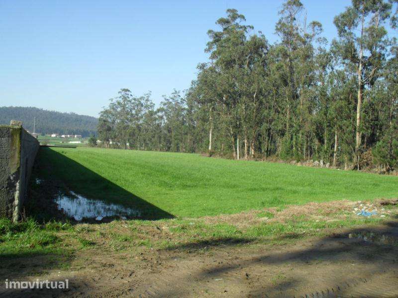 Terreno industrial c/ 10.500m2 em Rates, Póvoa de Varzim - Grande imagem: 2/2
