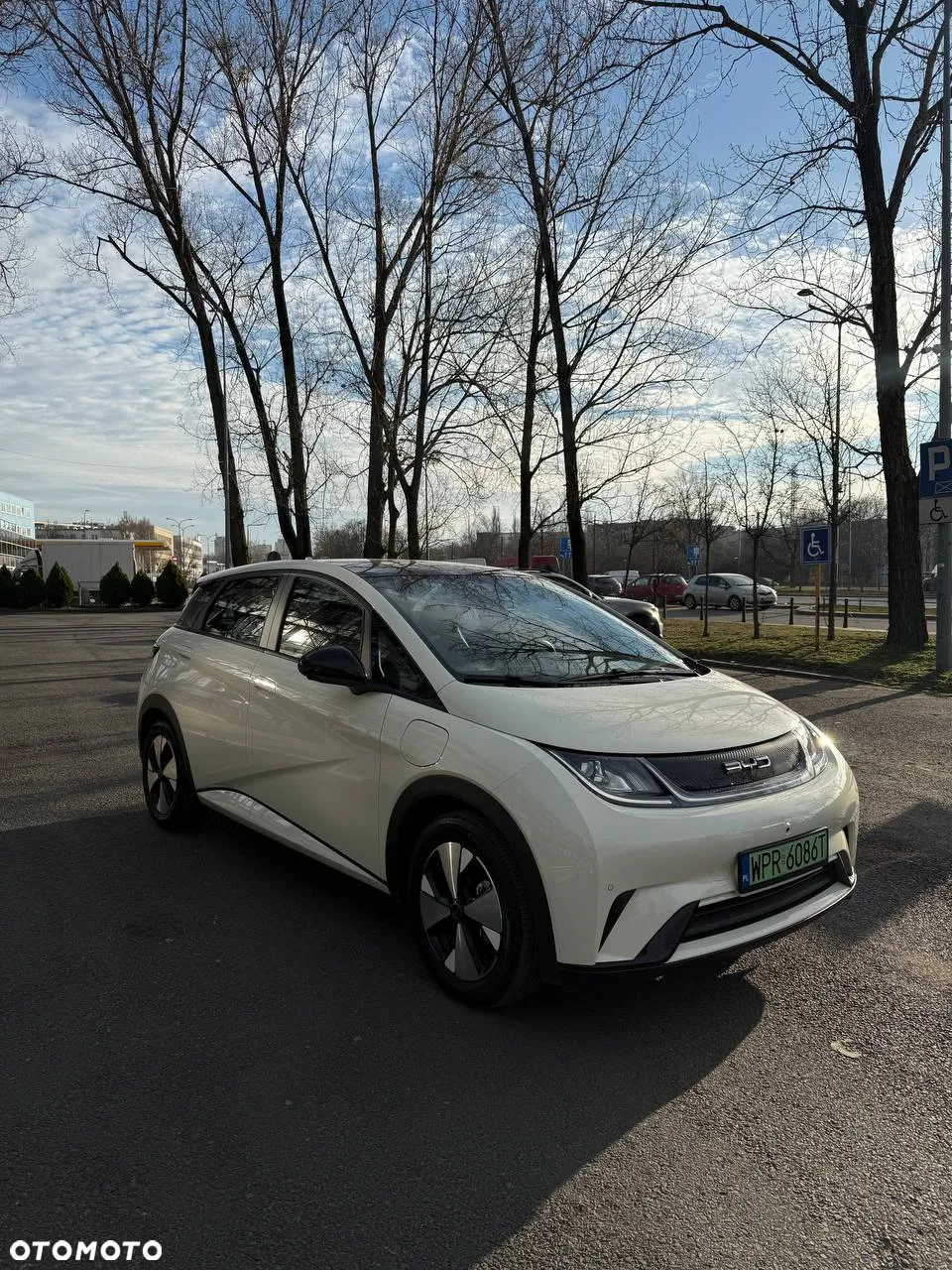 BYD Dolphin Active - 11