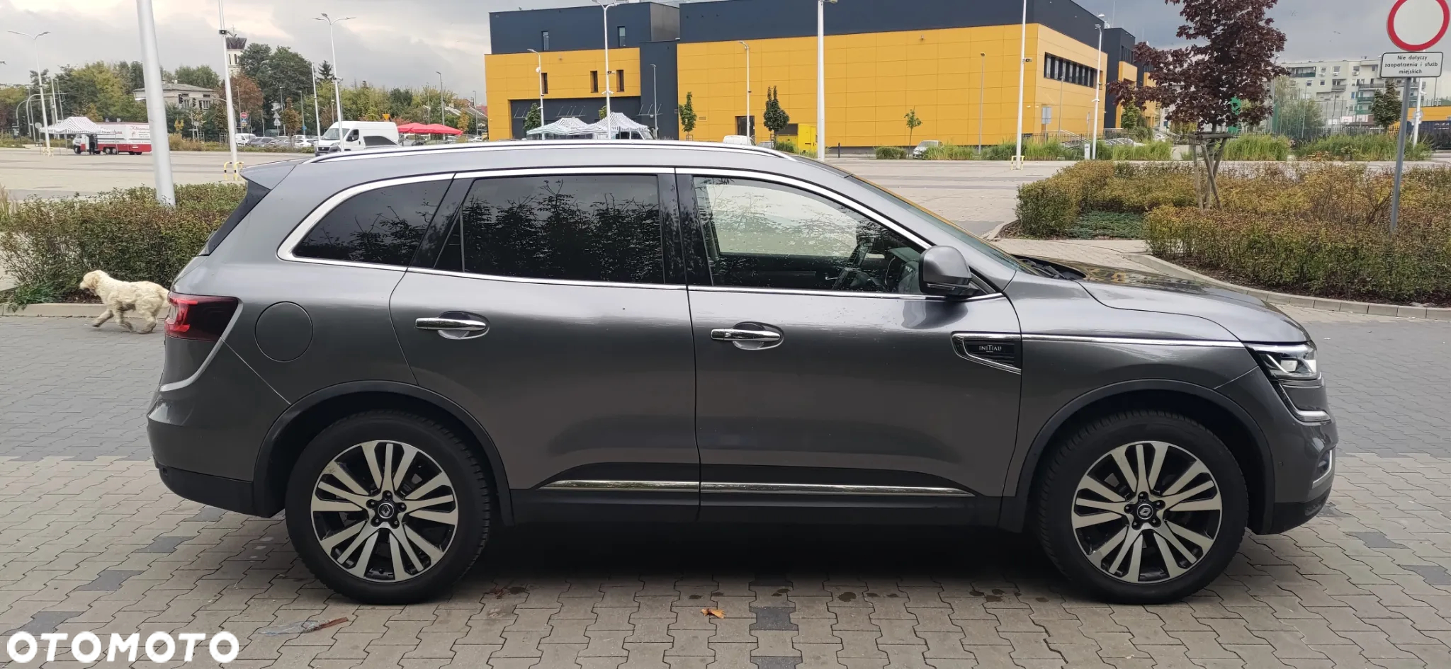 Renault Koleos 2.0 dCi Initiale Paris 4x4 X-Tronic - 33