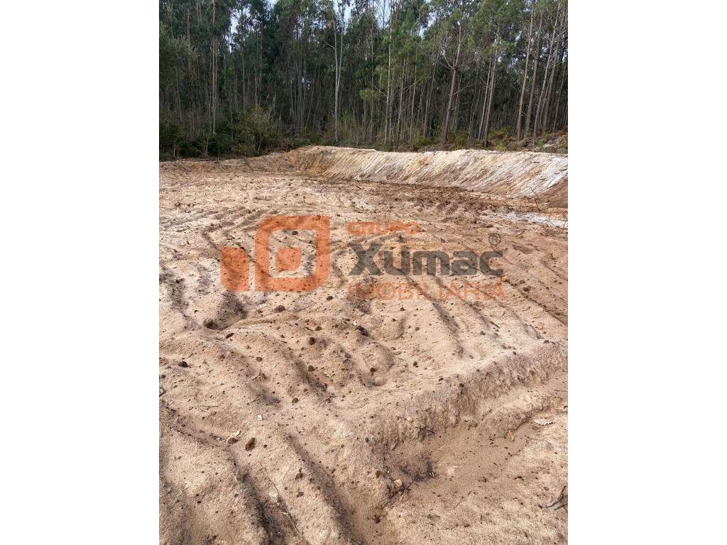 Terreno rústico zona da Serra do Bouro! - Grande imagem: 3/4