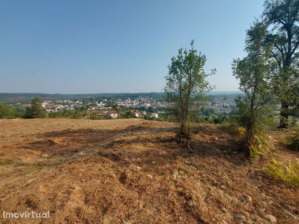 Terreno para construção em Côja - Grande imagem: 3/6