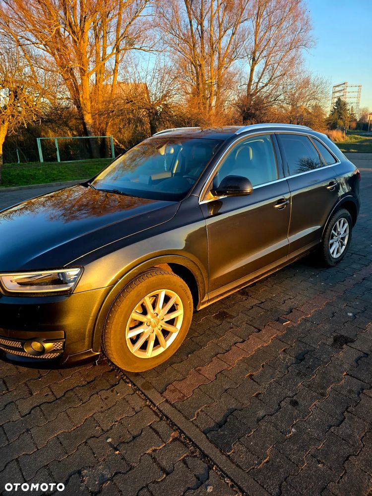 Audi Q3 2.0 TDI Quattro Edycja Specjalna - 2