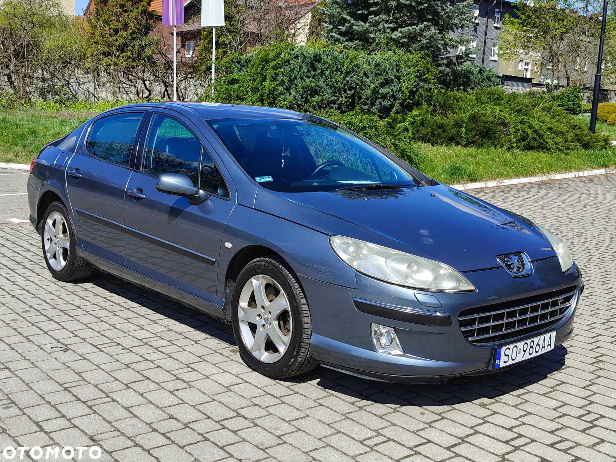 Peugeot 407 SW 160 Platinum - 11