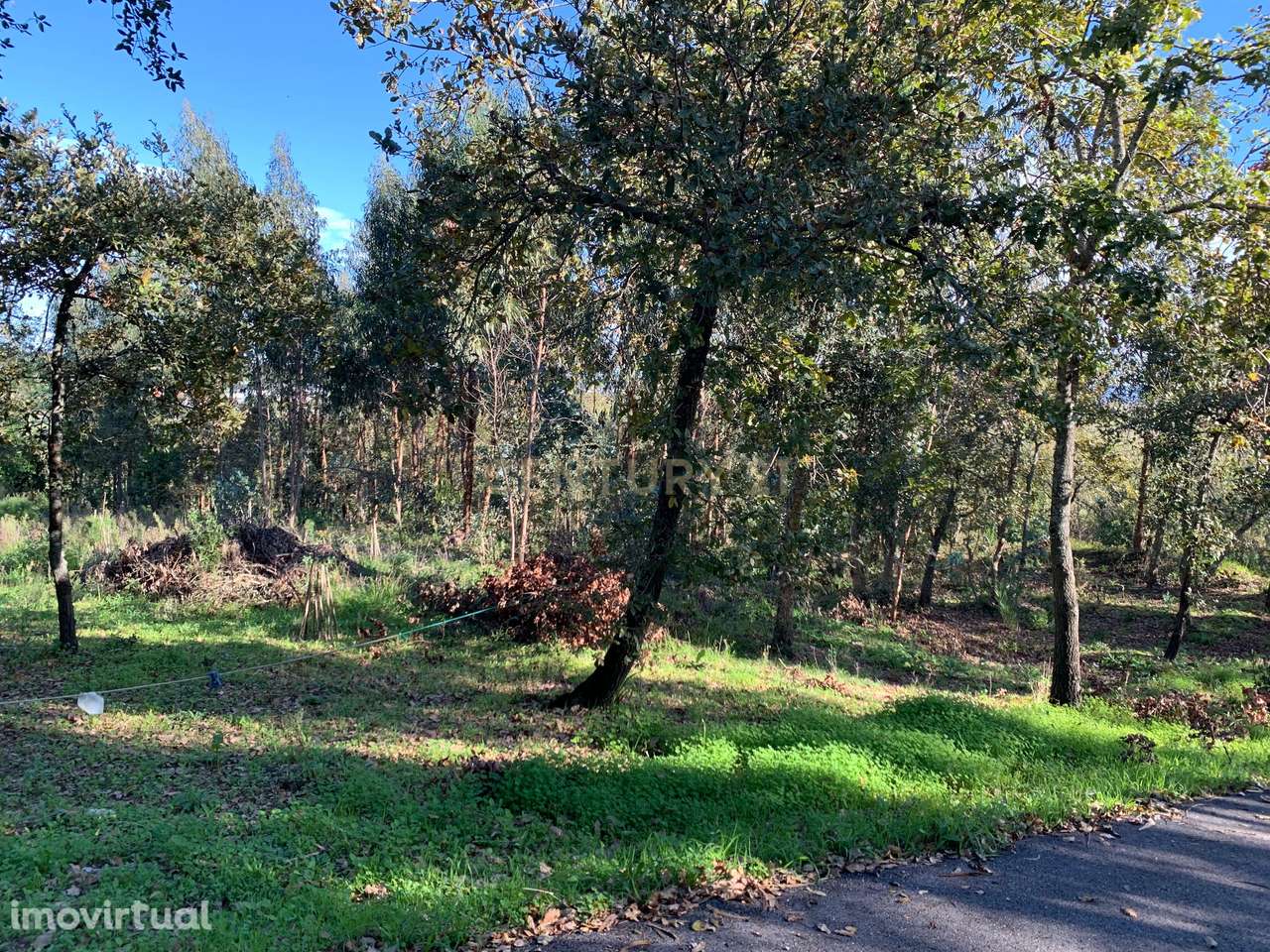 Terreno rústico com 1350m2, passível de construção - urbanização, nest - Grande imagem: 3/14