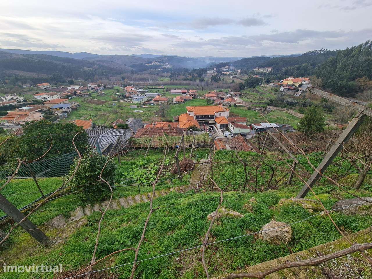 TERRENO RÚSTICO, PENAFIEL, CAPELA (apenas venda conjunta com a referên - Grande imagem: 2/10