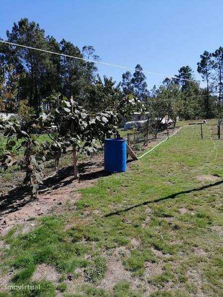 Terreno urbano com casa móvel - Grande imagem: 3/11