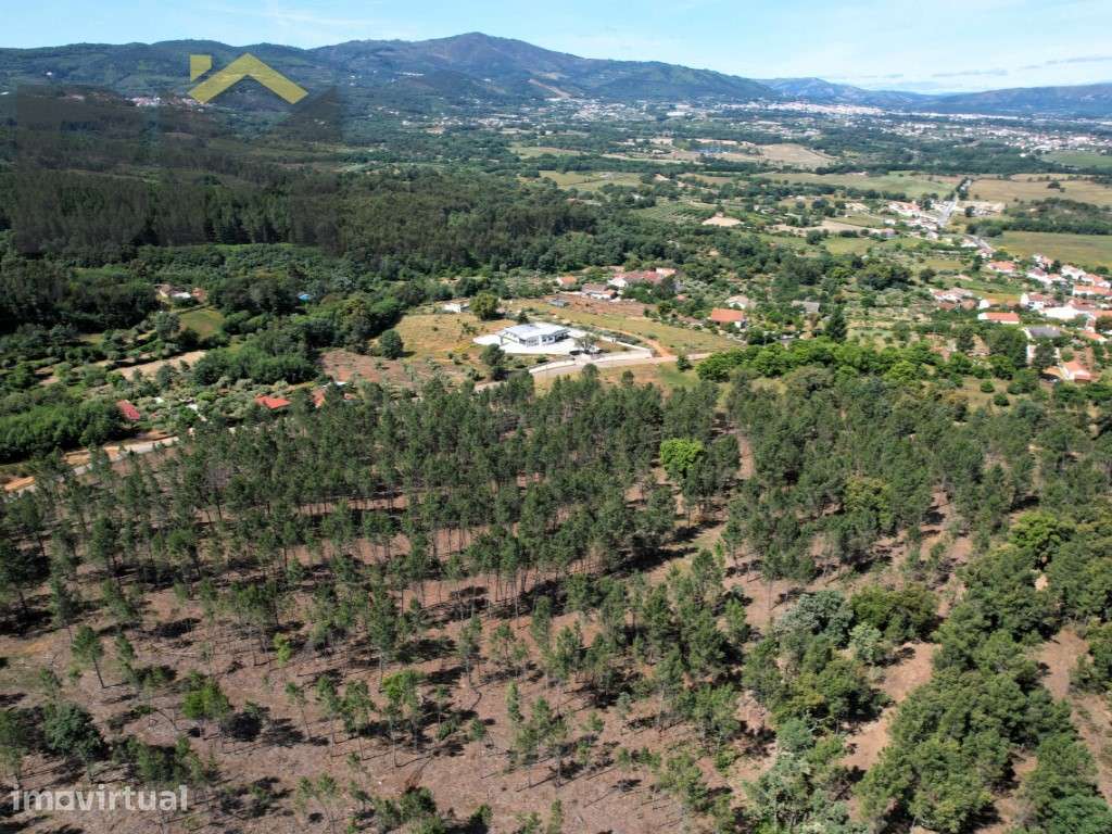 O Seu Próximo Grande Projeto Começa Aqui: 7.6 Hectares na Fatela co... - Grande imagem: 5/10