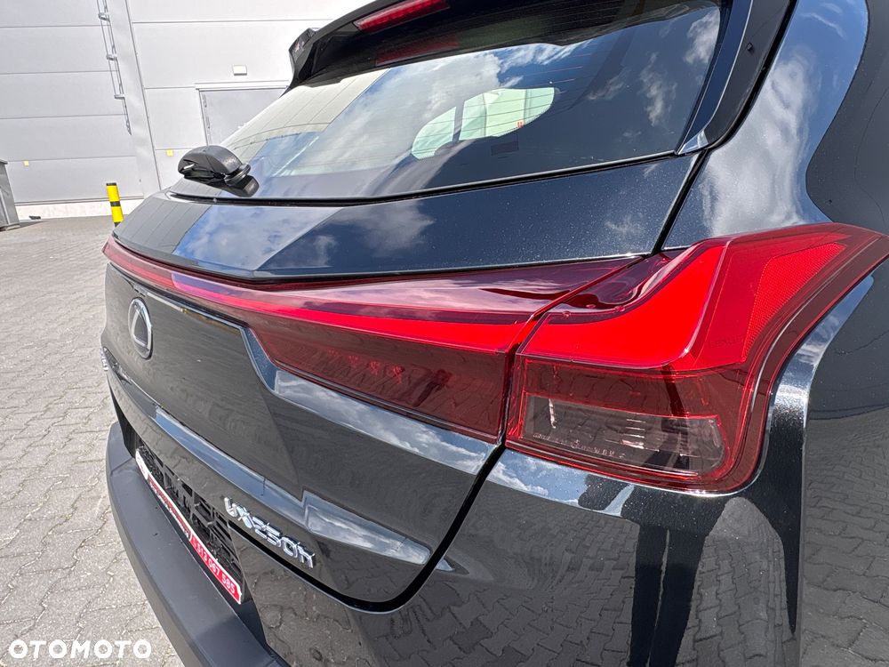 Lexus UX - 32