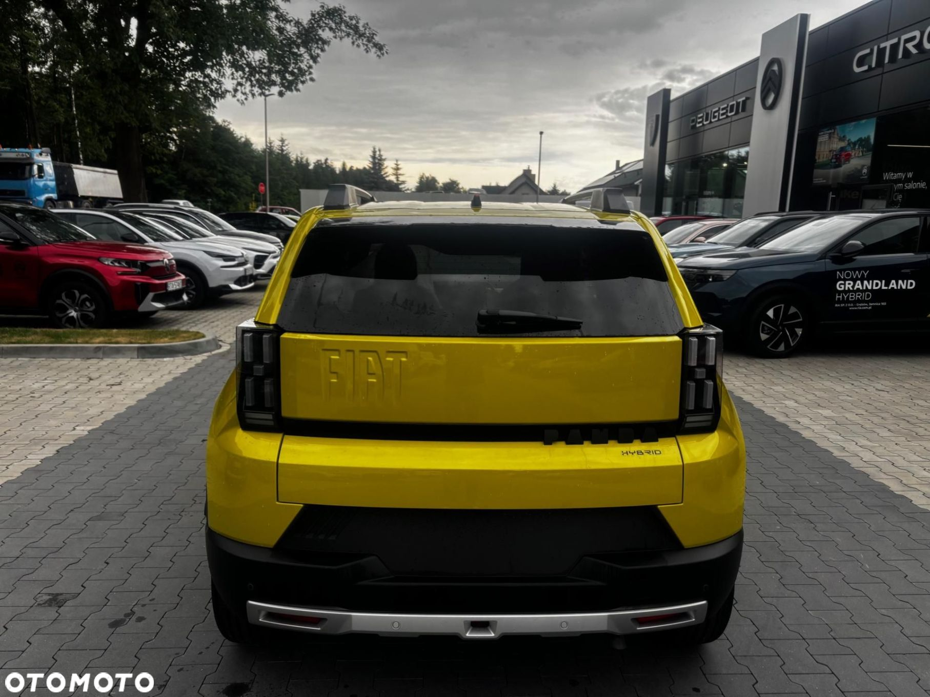 Fiat Grande Panda - 6