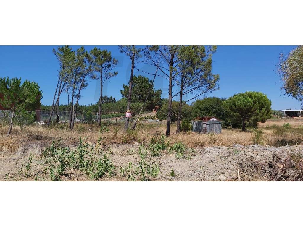 Terreno rústico com 7.600m2 - Pontével - 50.000€ - Grande imagem: 2/9