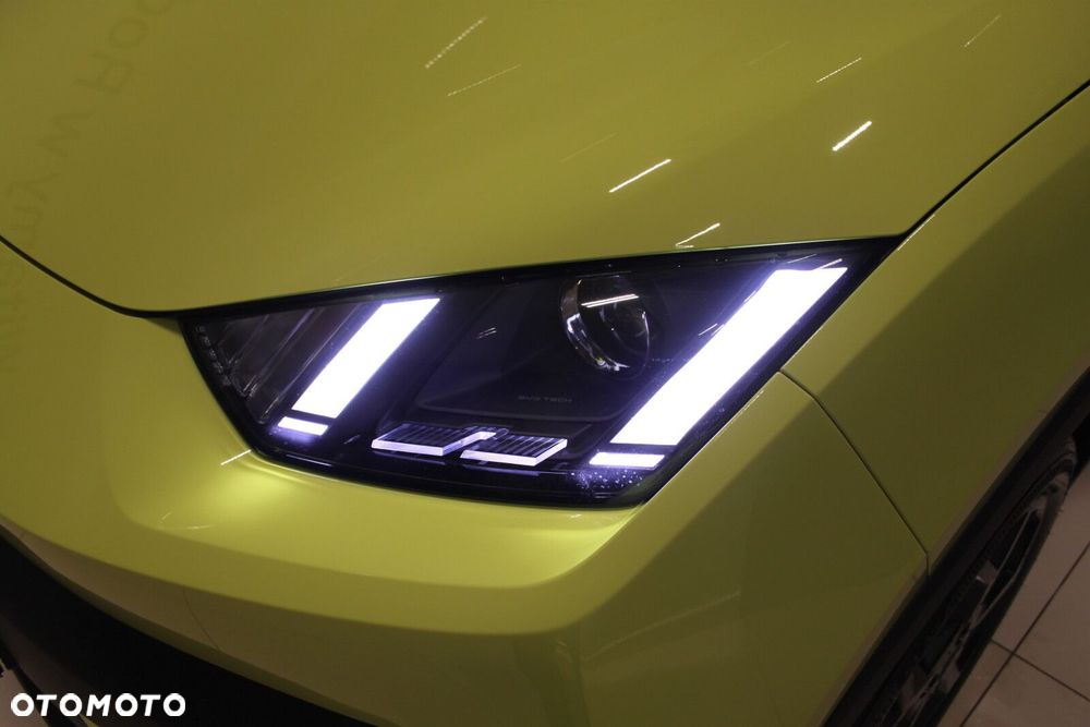 BYD Dolphin Surf - 12