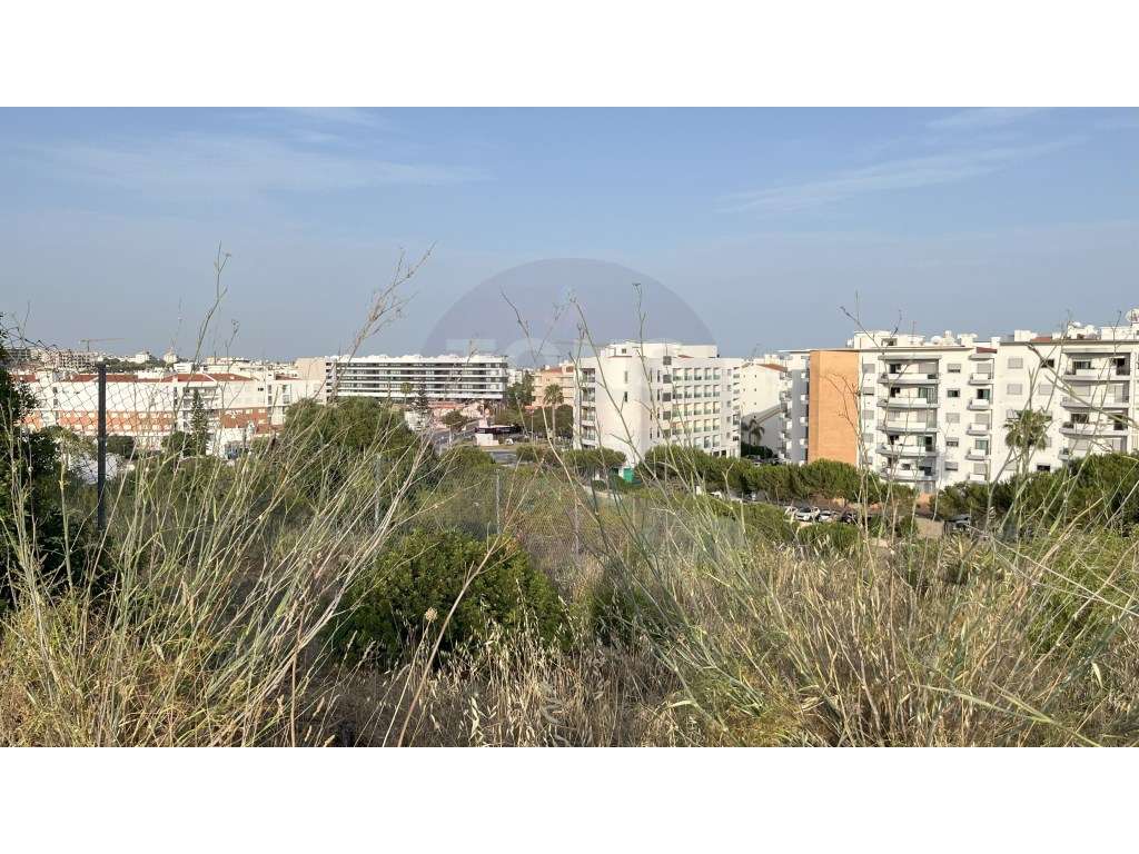 Terreno Urbanizado com 7 Lotes para Construção de Apartamentos, Fon... - Grande imagem: 4/9