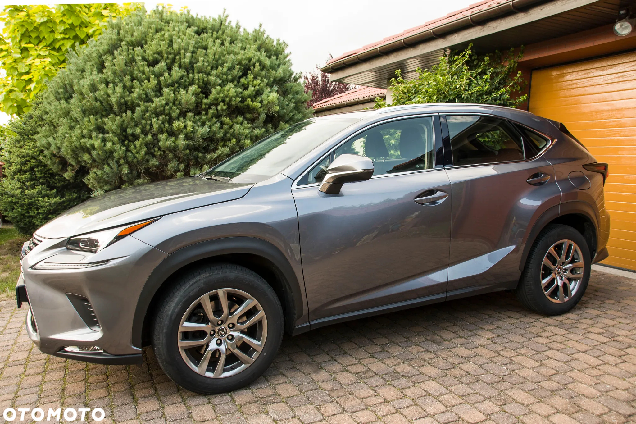 Lexus NX 300 Elegance Optimum AWD - 7