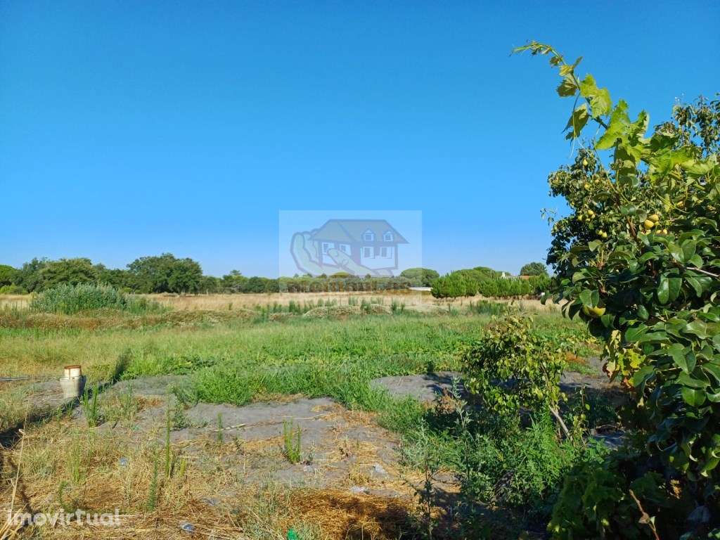 Lote com 6000 m2 e armazém - 15 minutos de Grândola - Grande imagem: 3/10