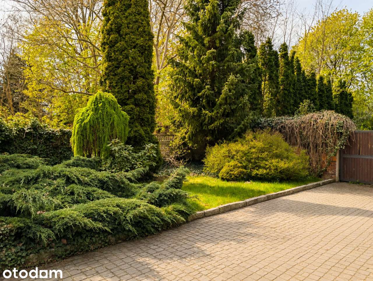 Dom Międzybórz | 109,3 m² | Działka 7,3 ar | Taras | Garaż | Kameralny - Pełny obrazek: 5/19