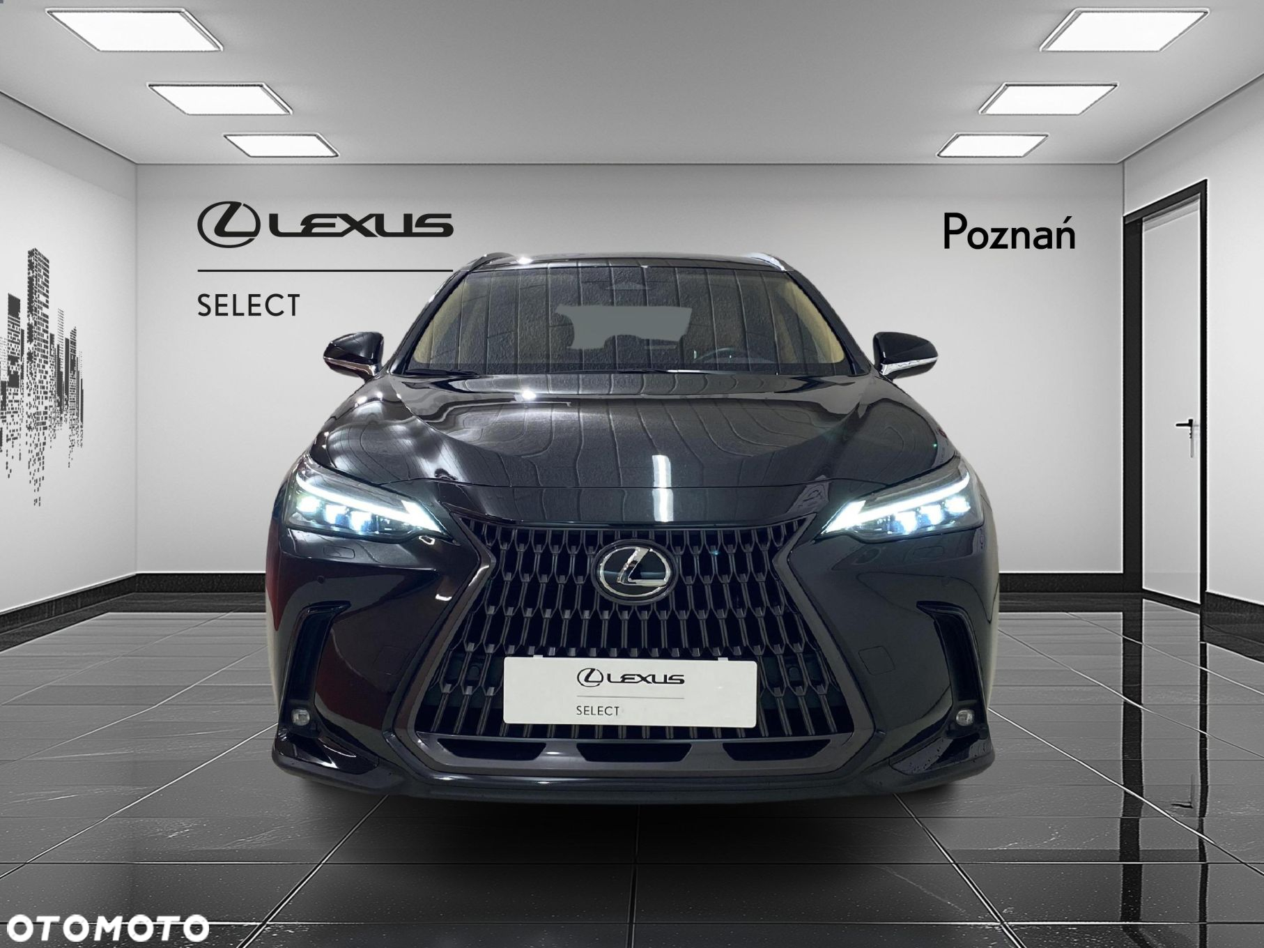 Lexus NX - 6