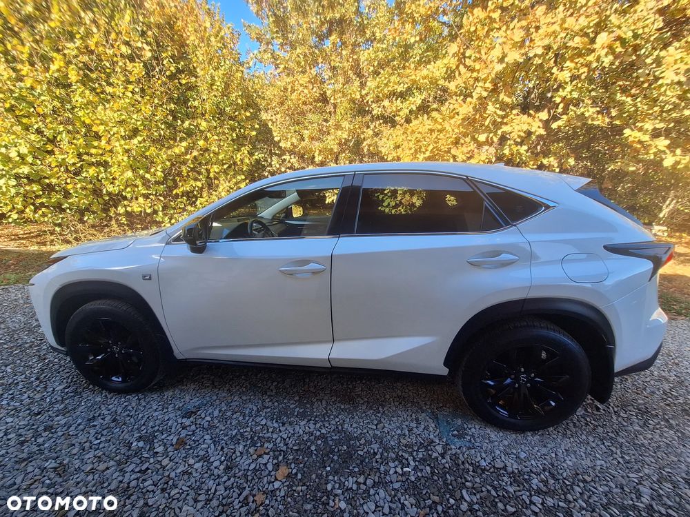 Lexus NX - 4