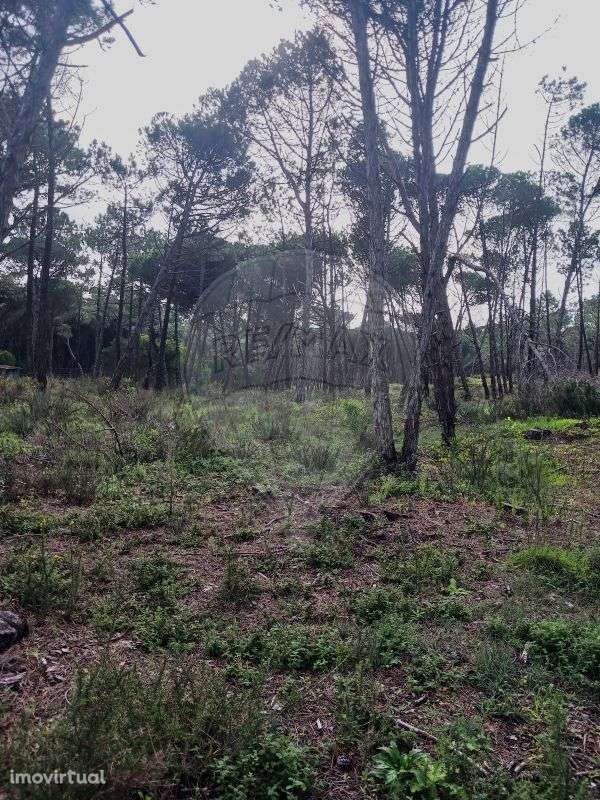 Terreno  para venda - Grande imagem: 5/12