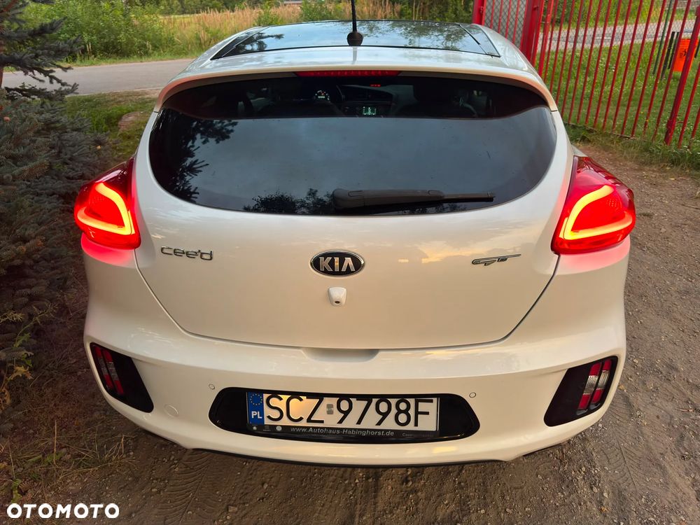 Kia ProCeed 1.6 T-GDI GT-Challenge - 24