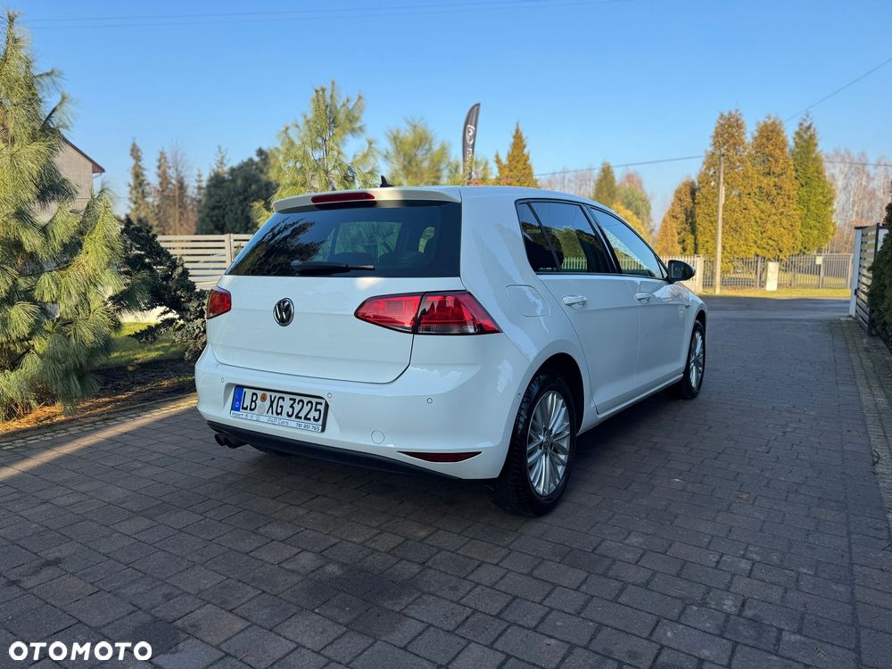 Volkswagen Golf 1.4 TSI BlueMotion Technology Cup - 12
