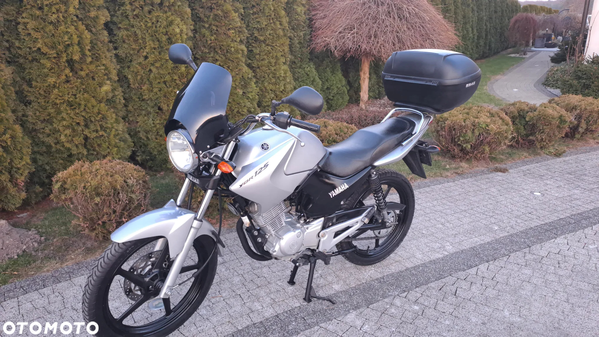 Yamaha YBR - 6
