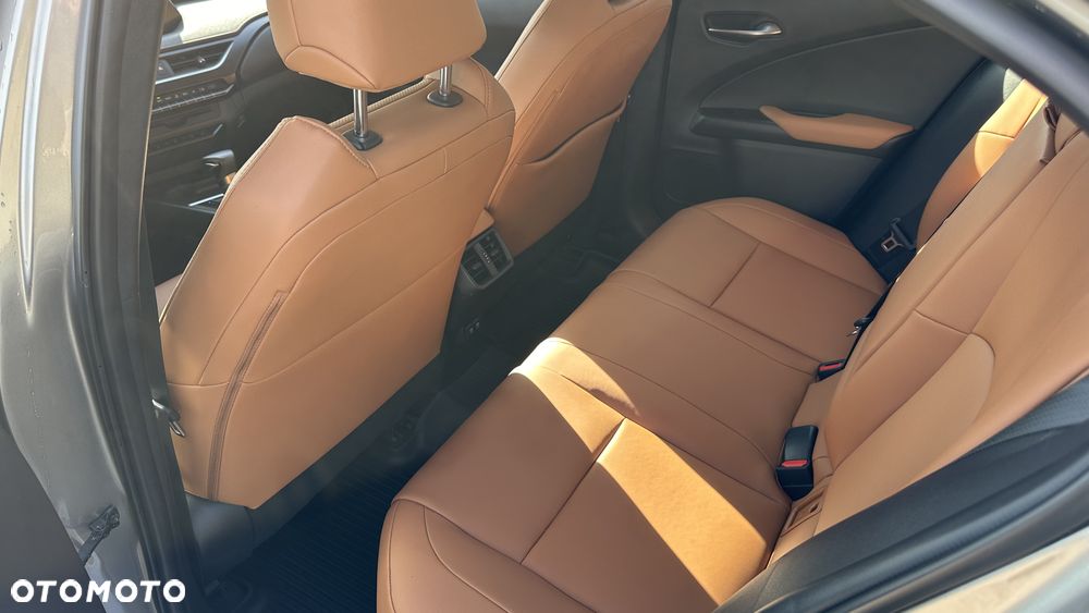 Lexus UX 250h GPF Prestige AWD - 23