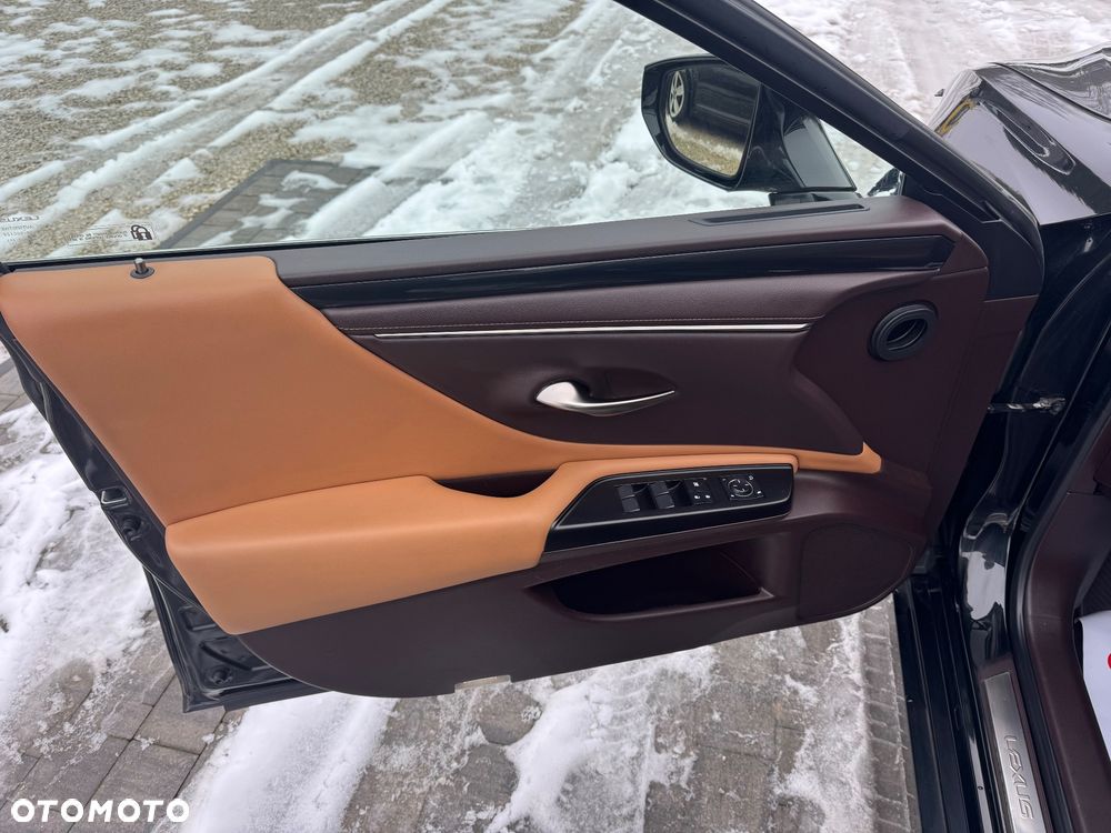 Lexus ES 300h Prestige - 12