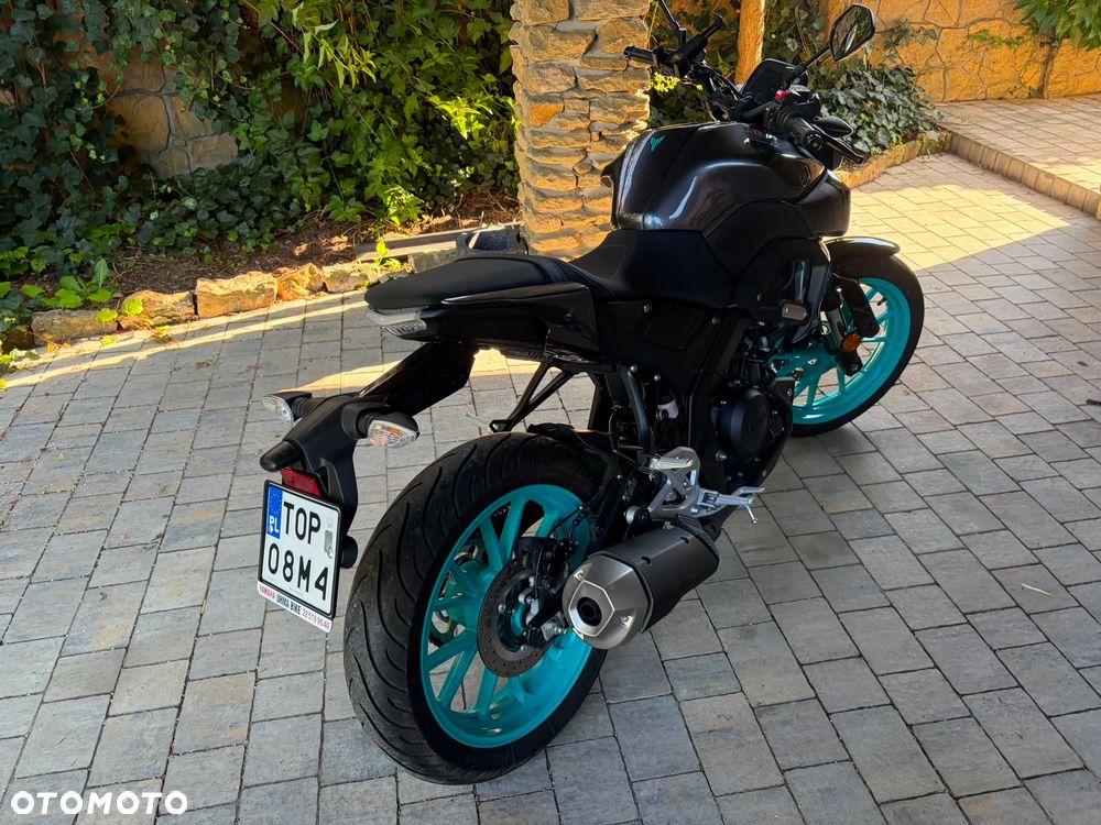 Yamaha MT - 6