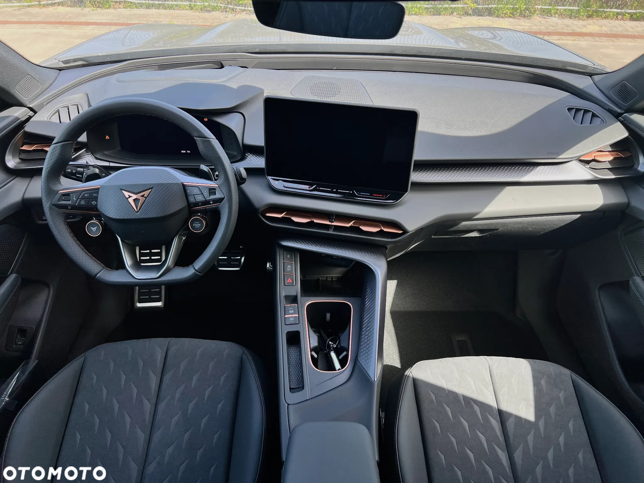Cupra Terramar 2.0 TSI 4Drive DSG - 17