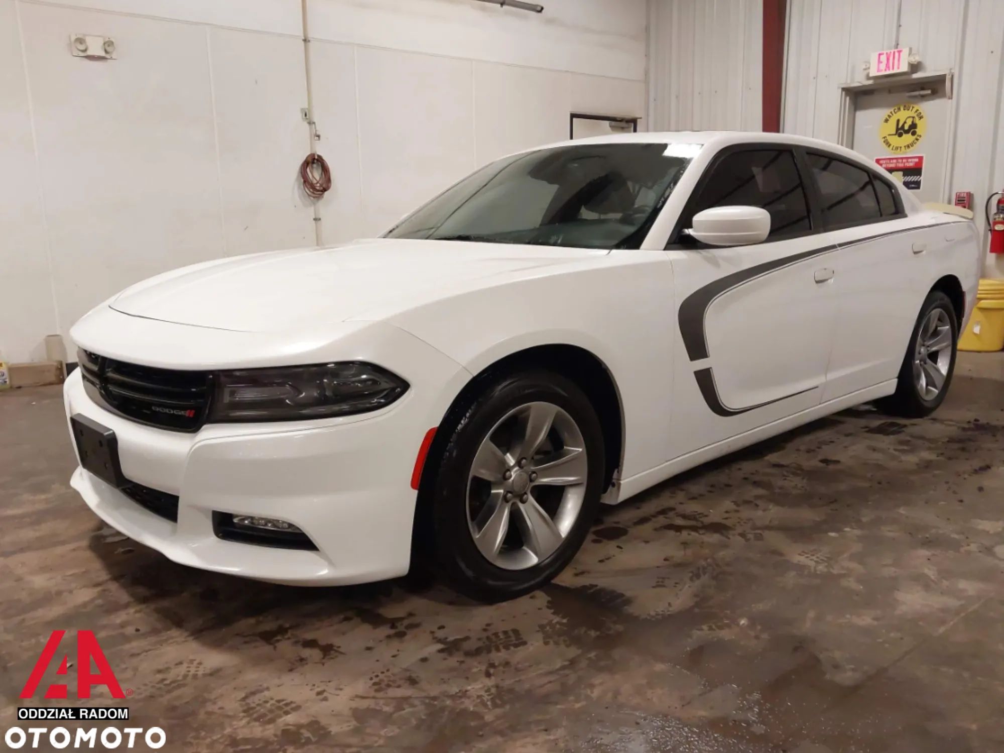 Dodge Charger - 1