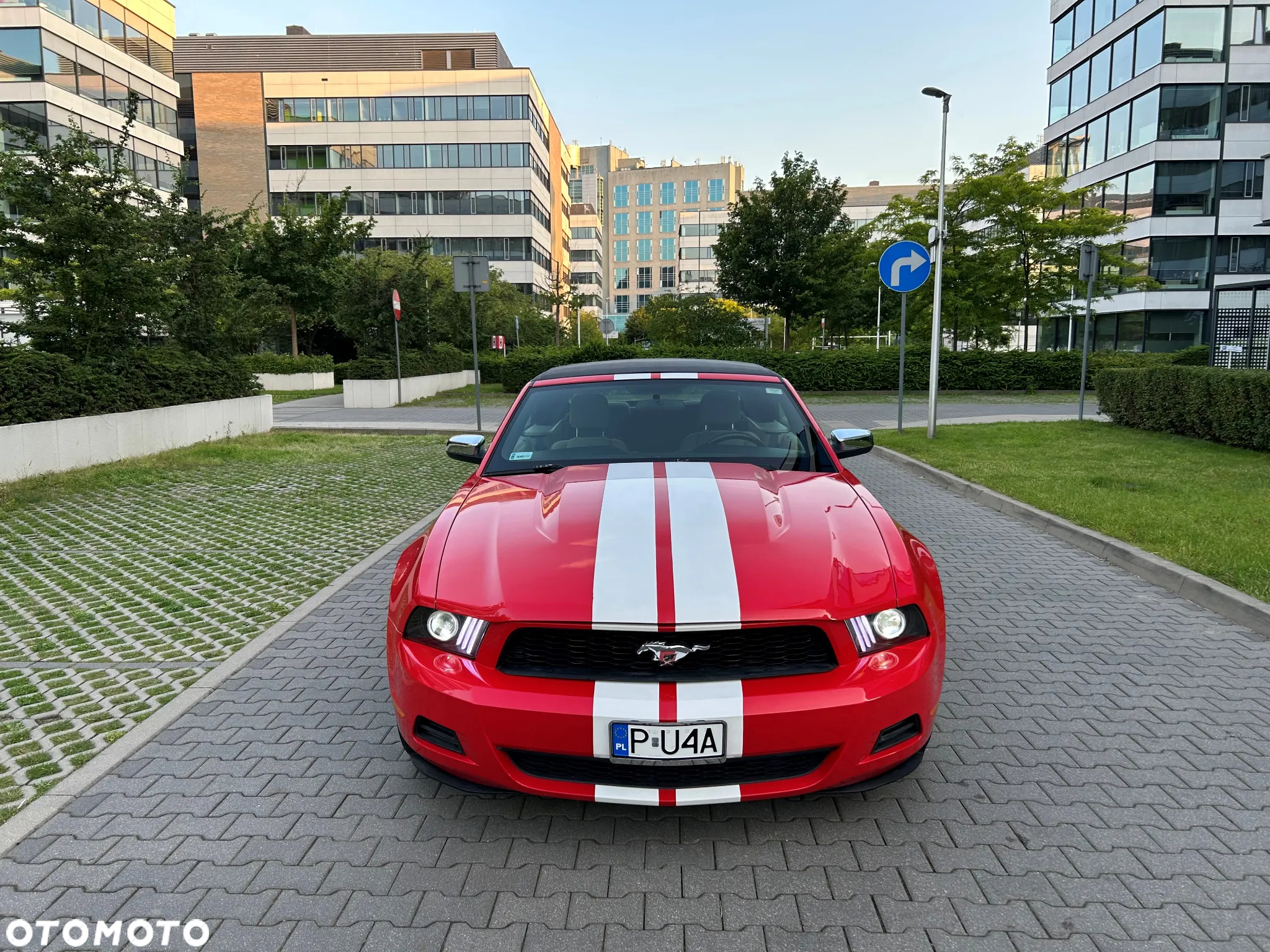 Ford Mustang - 19