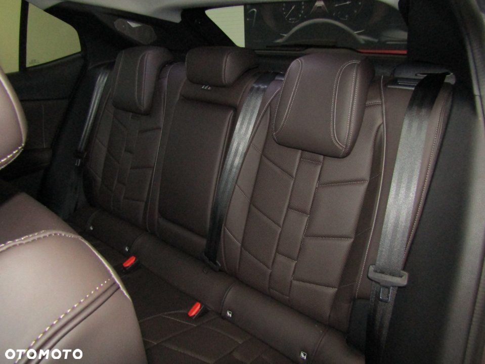 DS Automobiles DS 4 - 15