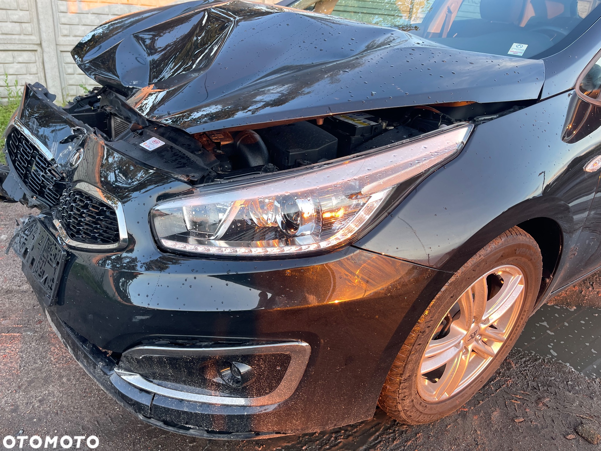 Kia Ceed 1.0 T-GDI 100 ISG Dream Team Edition - 4