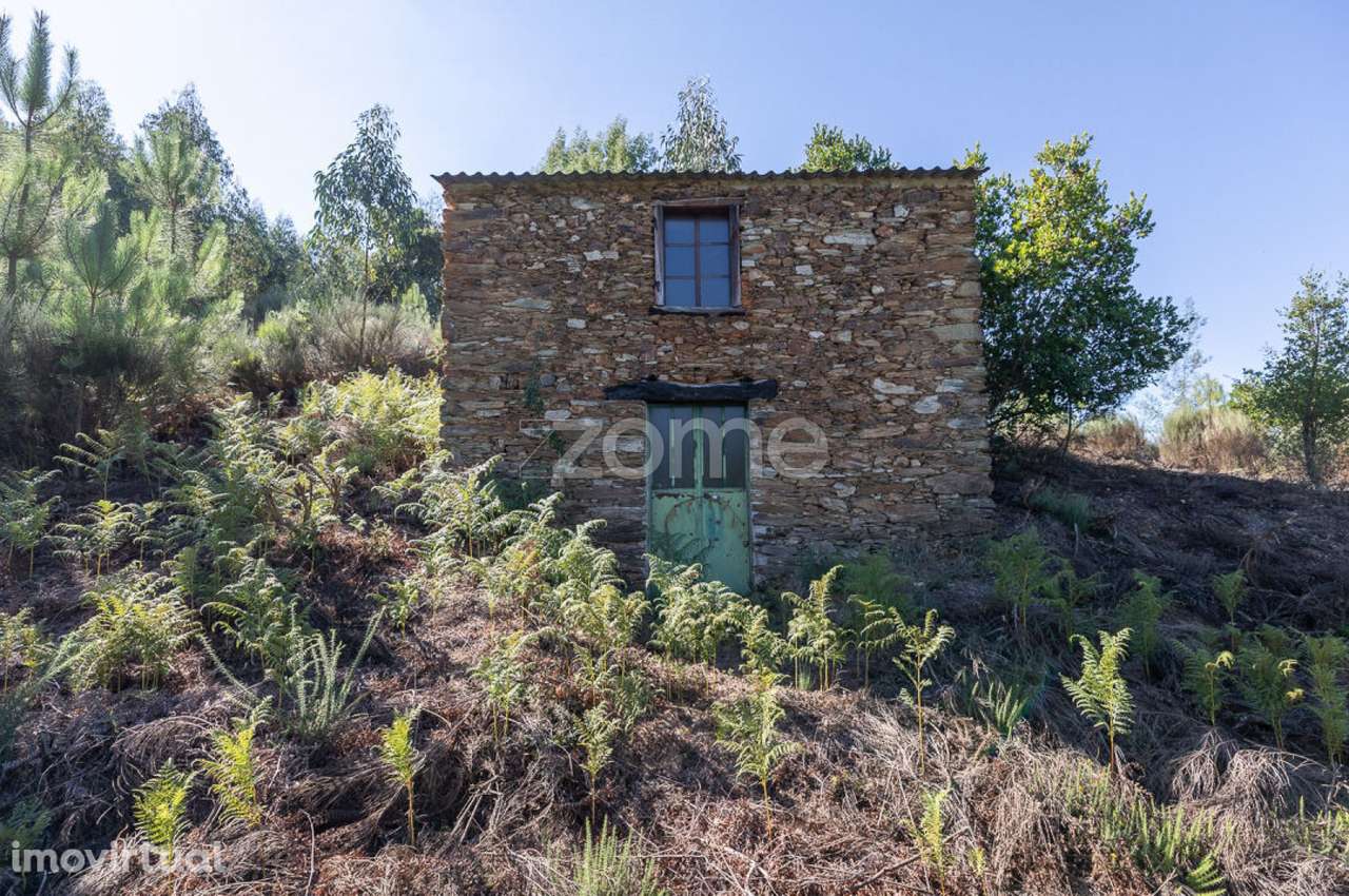 Terreno em Folques, Arganil - Grande imagem: 2/21