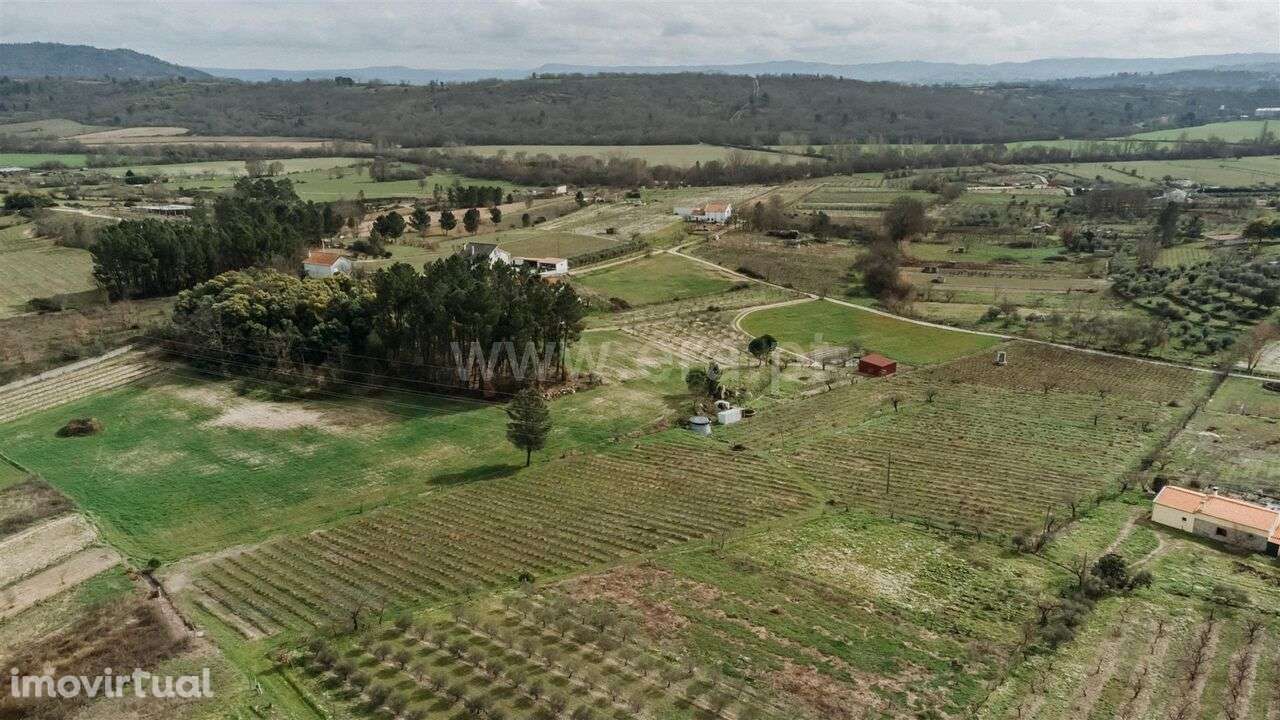 Terreno Rústico / Covilhã, Orjais - Grande imagem: 2/18
