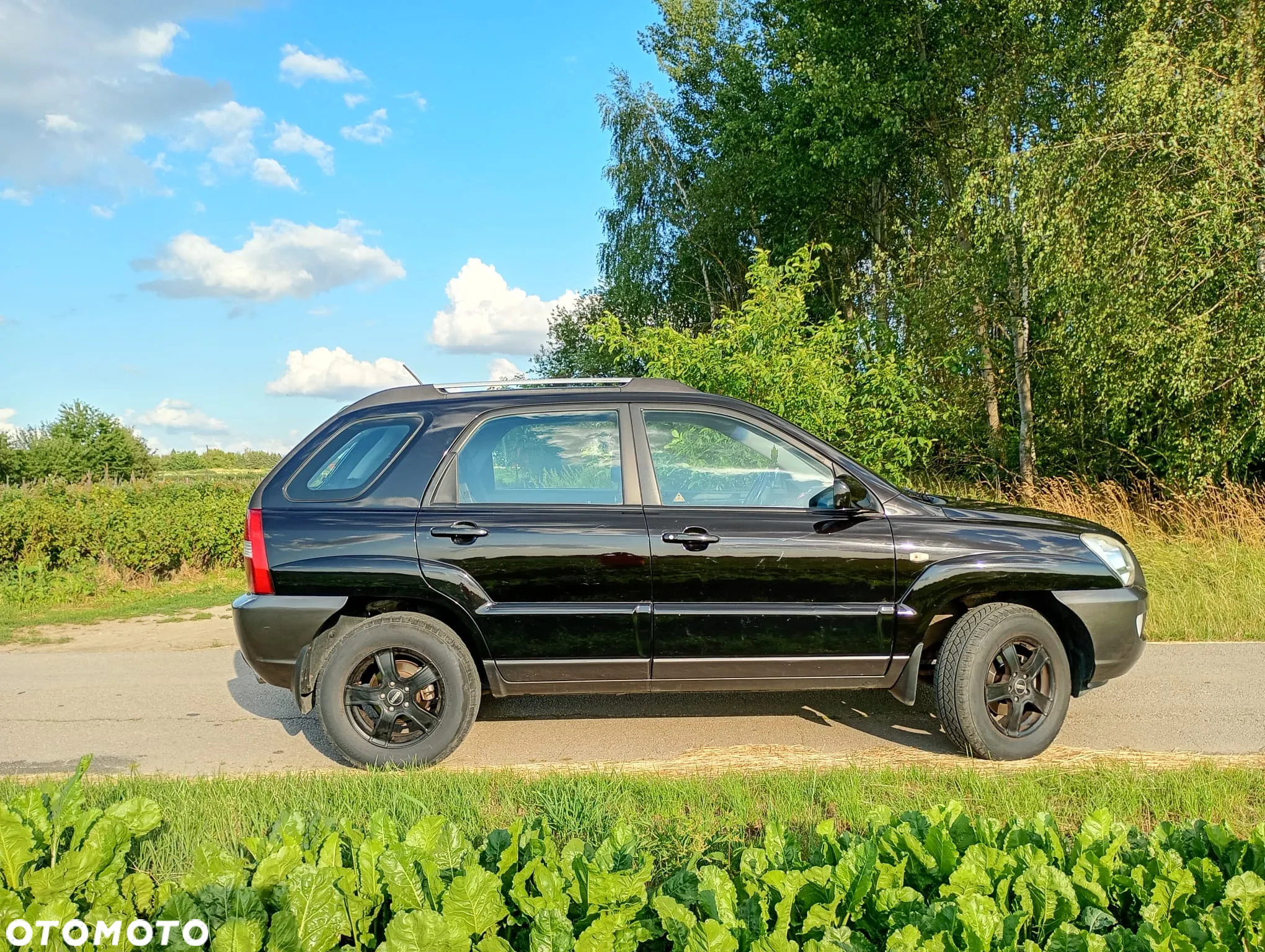 Kia Sportage - 25