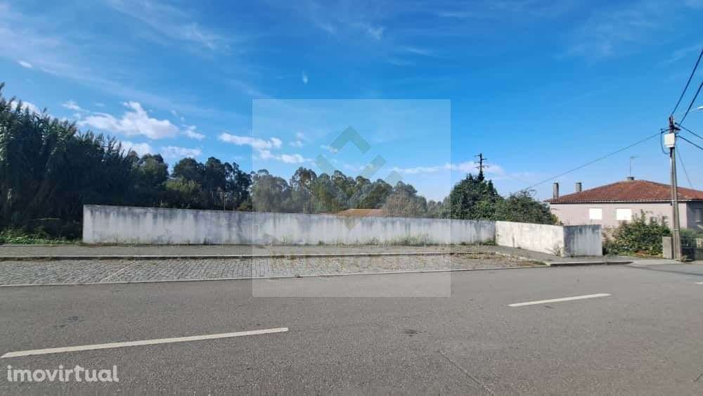 Terreno rústico com viabilidade de construção em São João de Ver - Grande imagem: 5/16