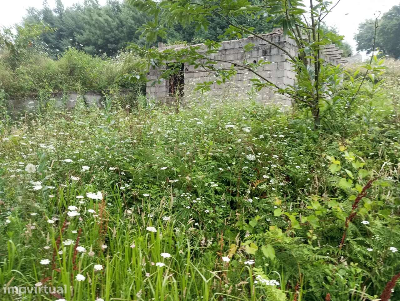 Terreno à venda em Santa Comba Dão, Viseu - 600m² - Grande imagem: 2/9